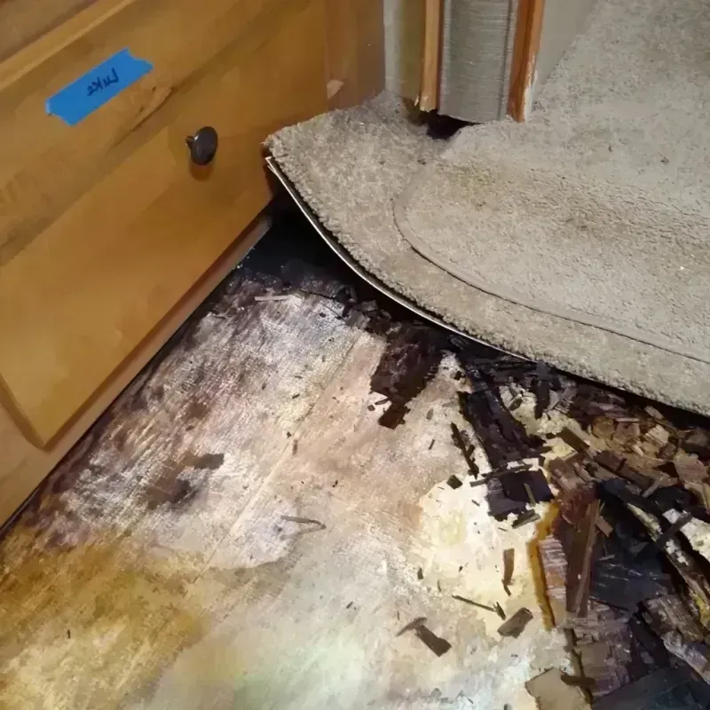 Wood Floor Water Damage in Kohler, WI